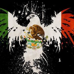 Meet your Posher, Luis